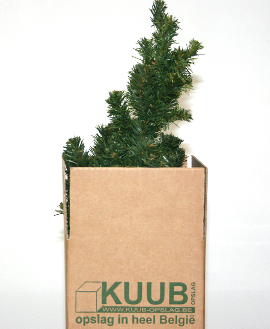 Bewaar je kerstboom veilig tot volgend jaar in een grote kartonnen doos